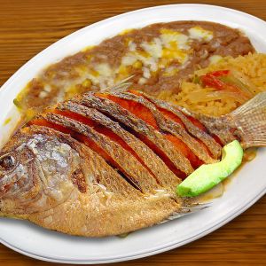 z-mojarra